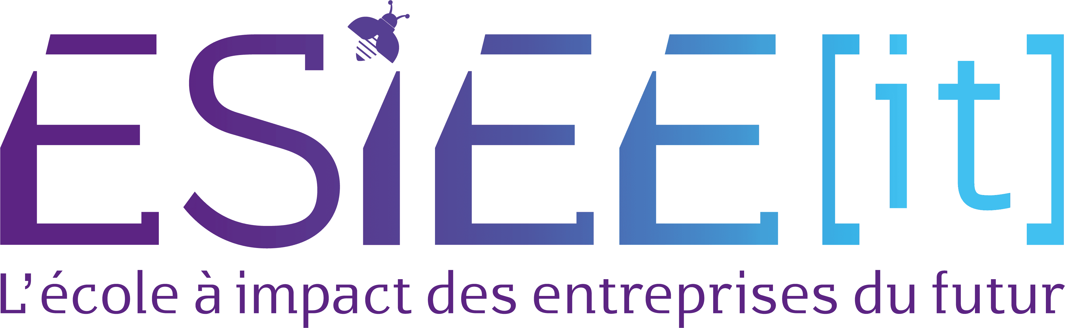 Logo ESIEE-IT